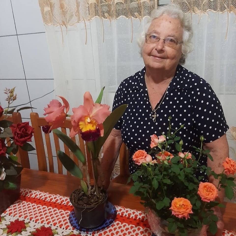 Imagem