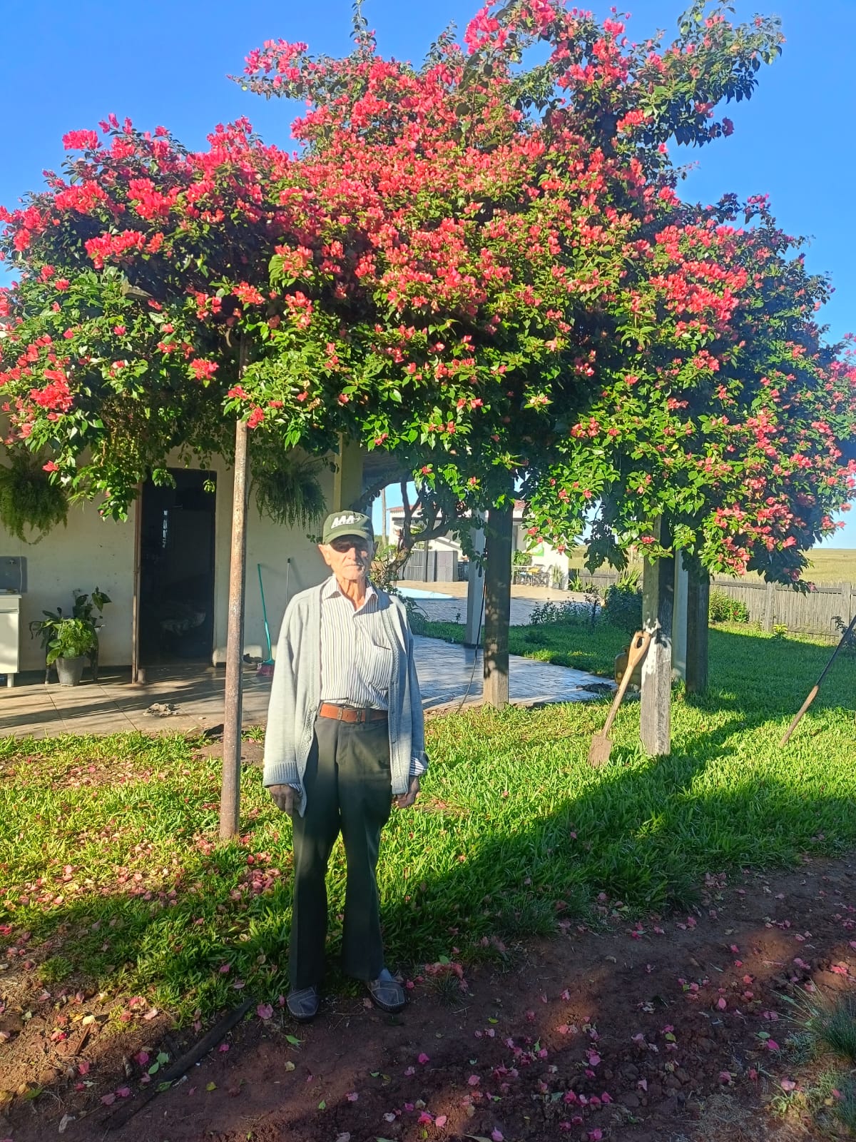 Imagem